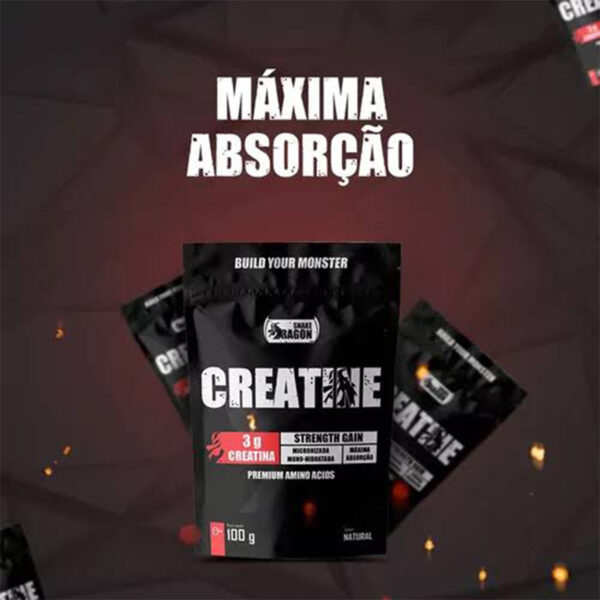 Creatine Sachê Snake Dragon 100g - Image 2